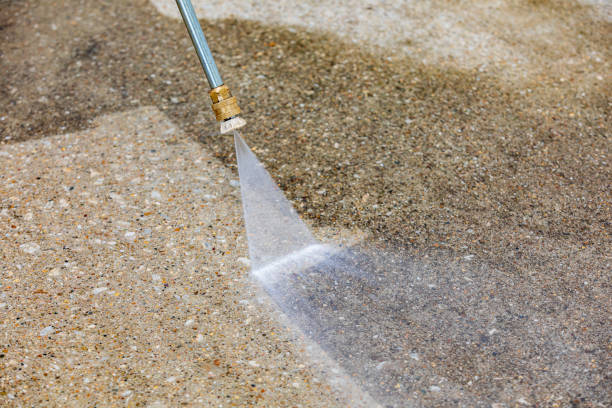 Best Roof Washing  in Excelsior Springs, MO